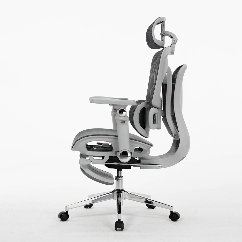 Office Chairs For Staff, Ergon - Office Furniture Factory review and price