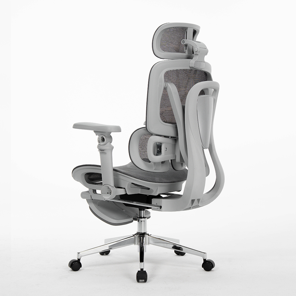 Office Chairs For Staff, Ergon - Office Furniture Factory review and price