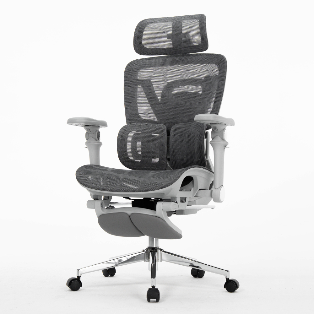 Office Chairs For Staff, Ergon - Office Furniture Factory review and price